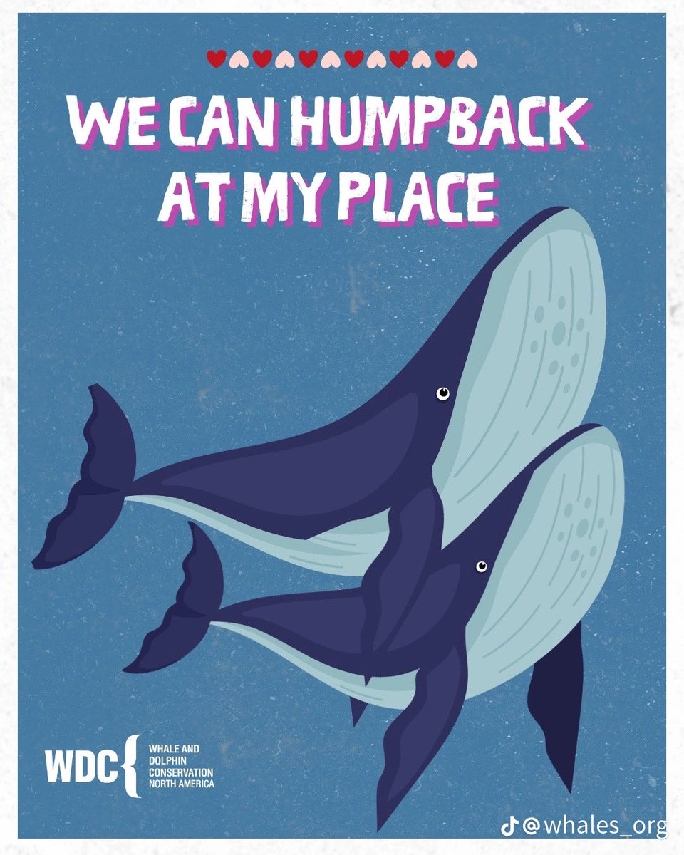 SO Valentine cards from Namor to Shuri