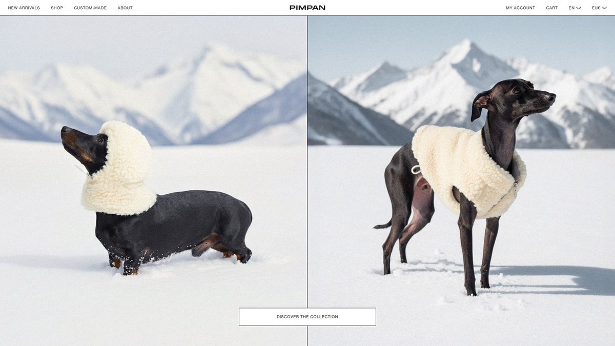 48 Gallery tweet media