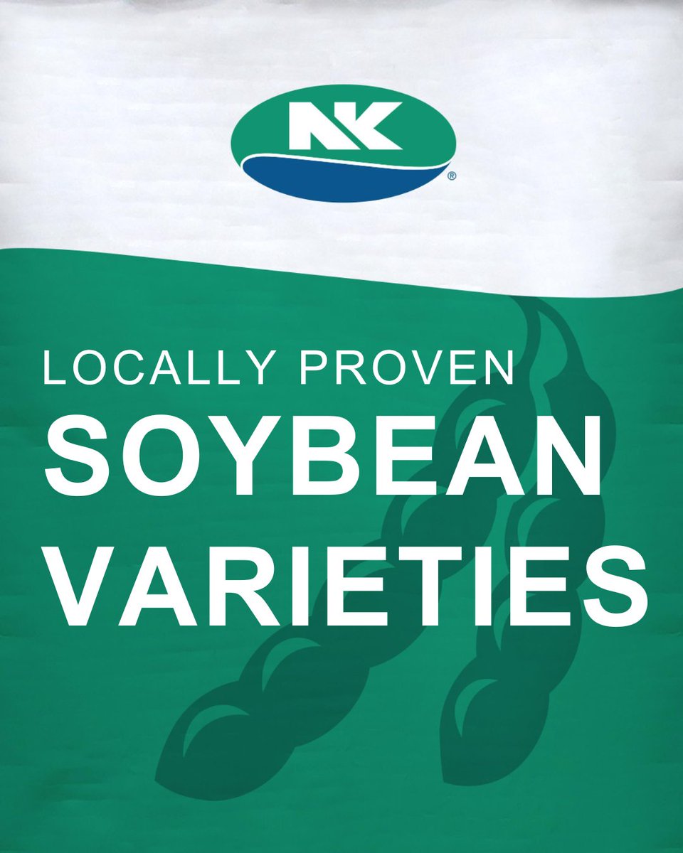 NK Seeds tweet media