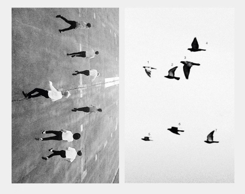 seventh day of the seventh month