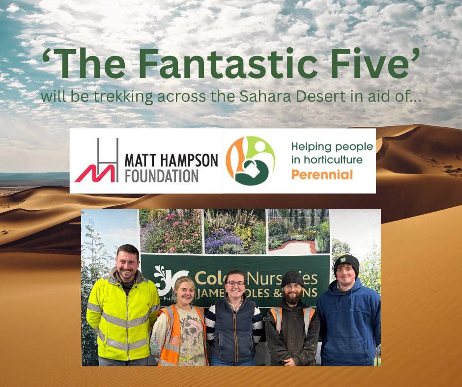 Matt Hampson tweet media