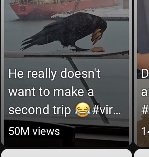 Blesh tweet media