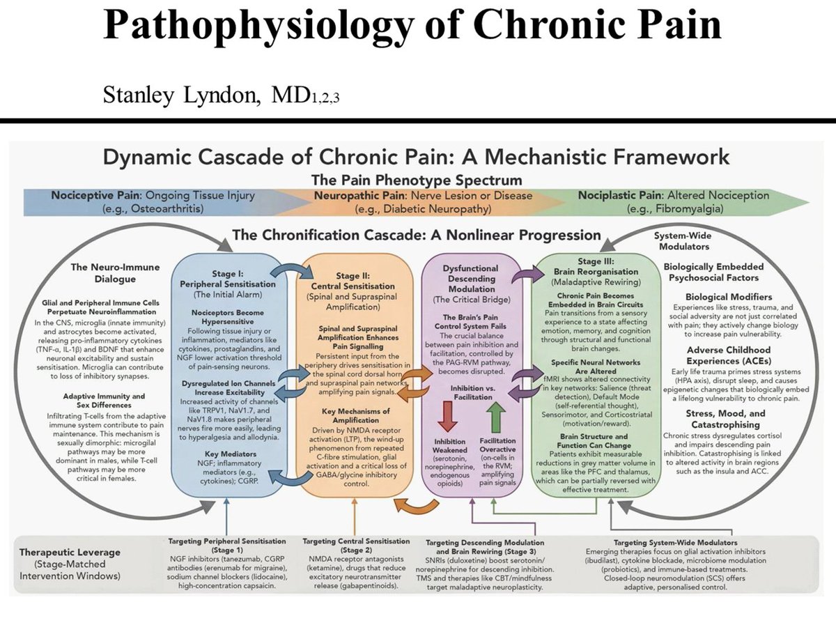 FISIOPATOLOGÍA DEL DOLOR CRÓNICO

¡¡¡A leer, zagales!!!

waltersport.com/investigacione…