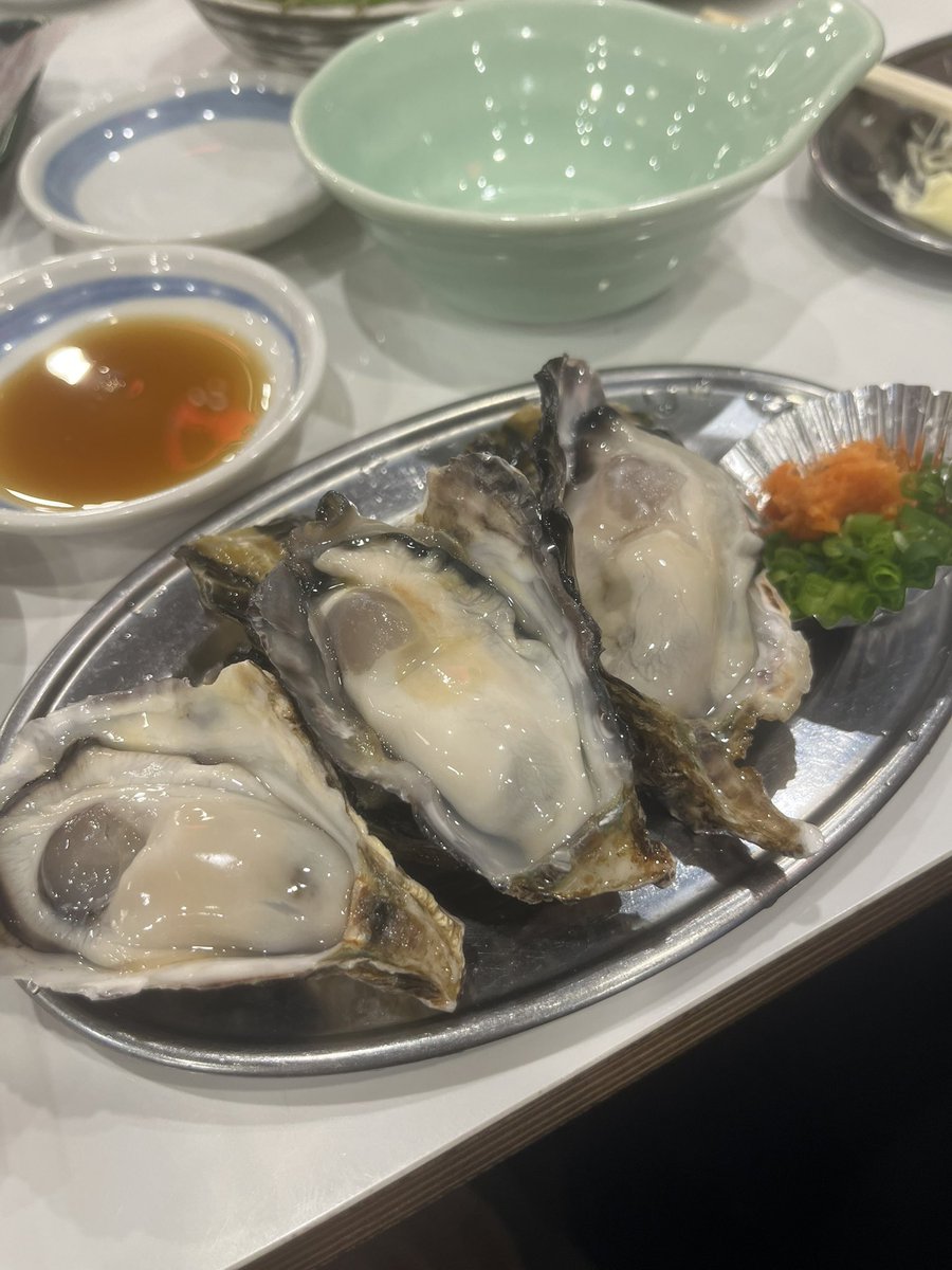 Tetsuji Shirakawa/白川哲次 tweet media