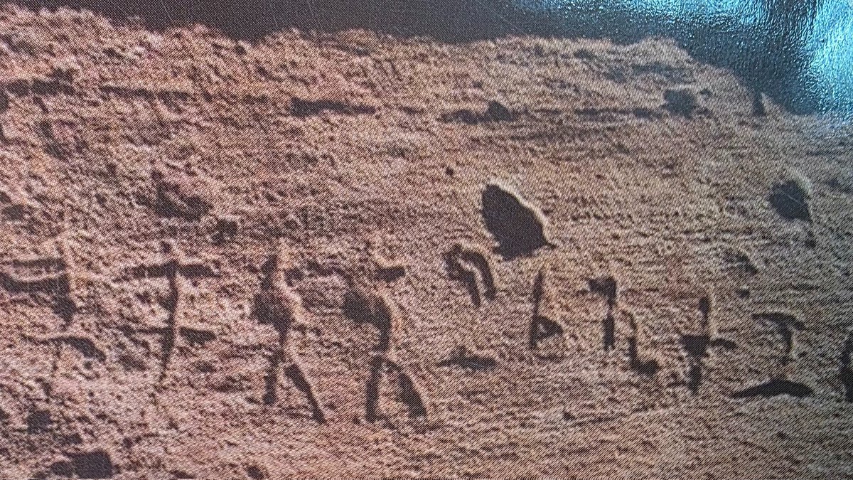 🚨 BREAKING: Mind-Blowing Discovery! 😱 Ancient Tamils Traveled to Pharaoh's Tombs in Egypt 2,000 Years Ago! 🏛️🔥

Swiss scholar Ingo Strauch and team unearthed Tamil-Brahmi inscriptions like "Cikai Korran came and saw" deep in the Valley of the Kings! This proves epic two-way