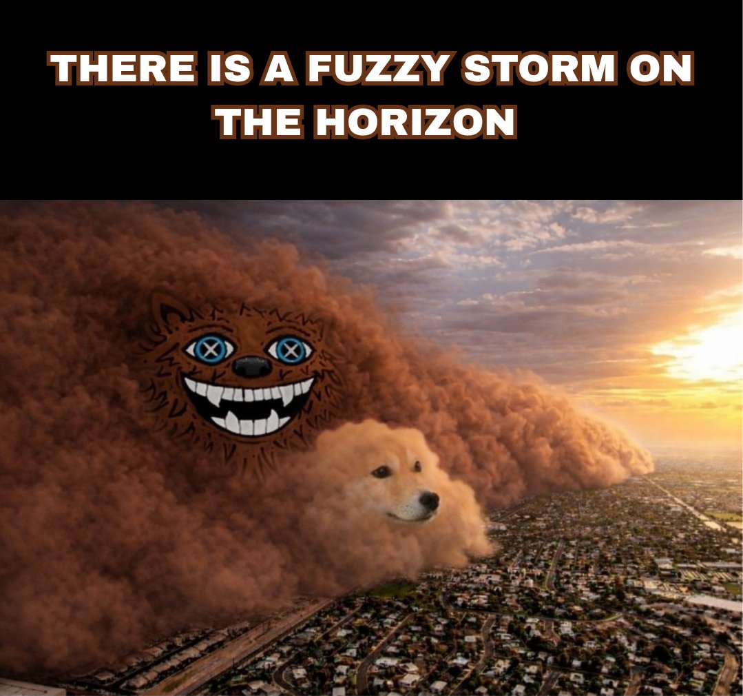 fuzzy_vic's tweet photo. $FUZZY @FUZZY_XRP is inevitable! 
XRP WILL FLIP BITCOIN 
FUZZY WILL FLIP DOGE https://t.co/n1hXr4FFYT