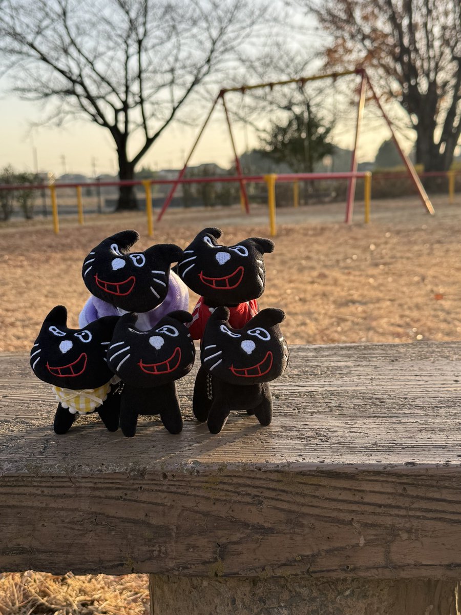 けんぴぴ🌞 tweet media