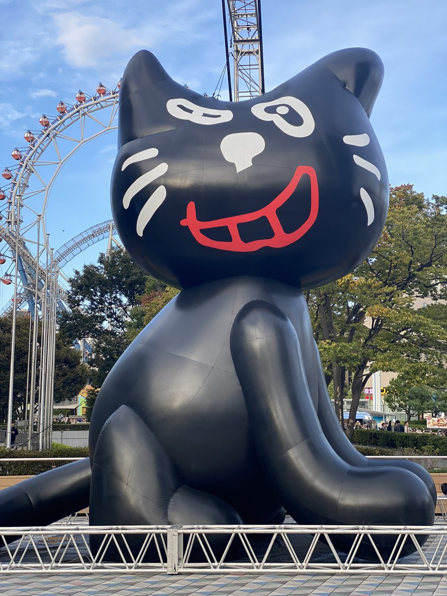 けんぴぴ🌞 tweet media