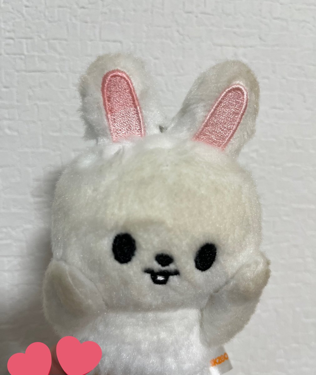 マカロン🐰 tweet media