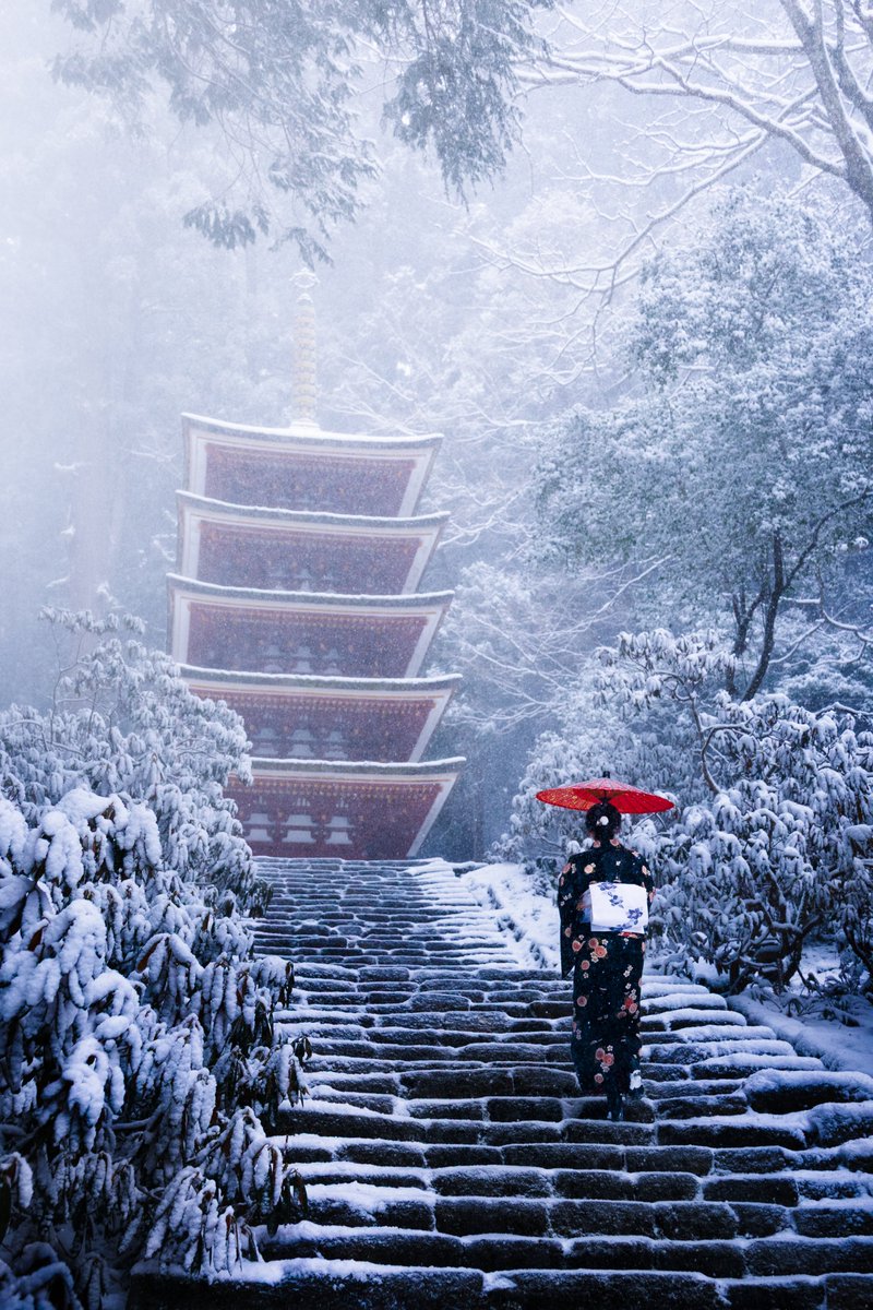 豪雪の室生寺が美しすぎました。
