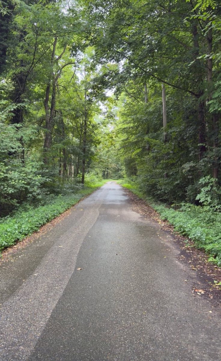 مْحَمْدّ آلُِــعٍـدَوِيّ tweet media