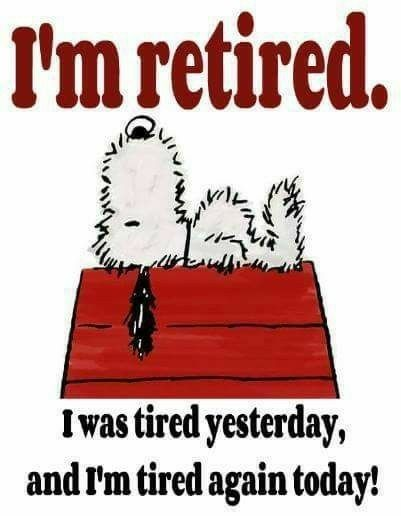 Ikennect's tweet image. true