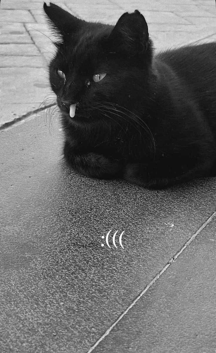 Yalovanın soğuklarına dayanamayan bi oğlan