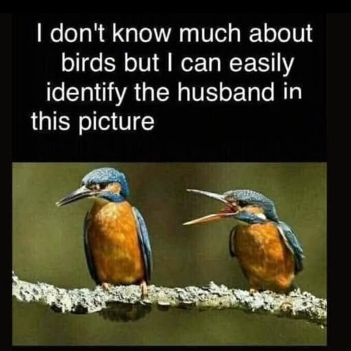 Lisa Chandler tweet media