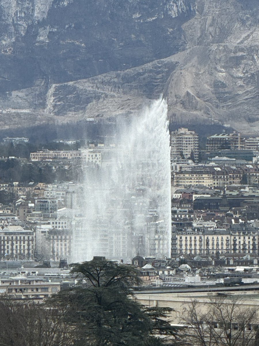 Tedros Adhanom Ghebreyesus tweet media