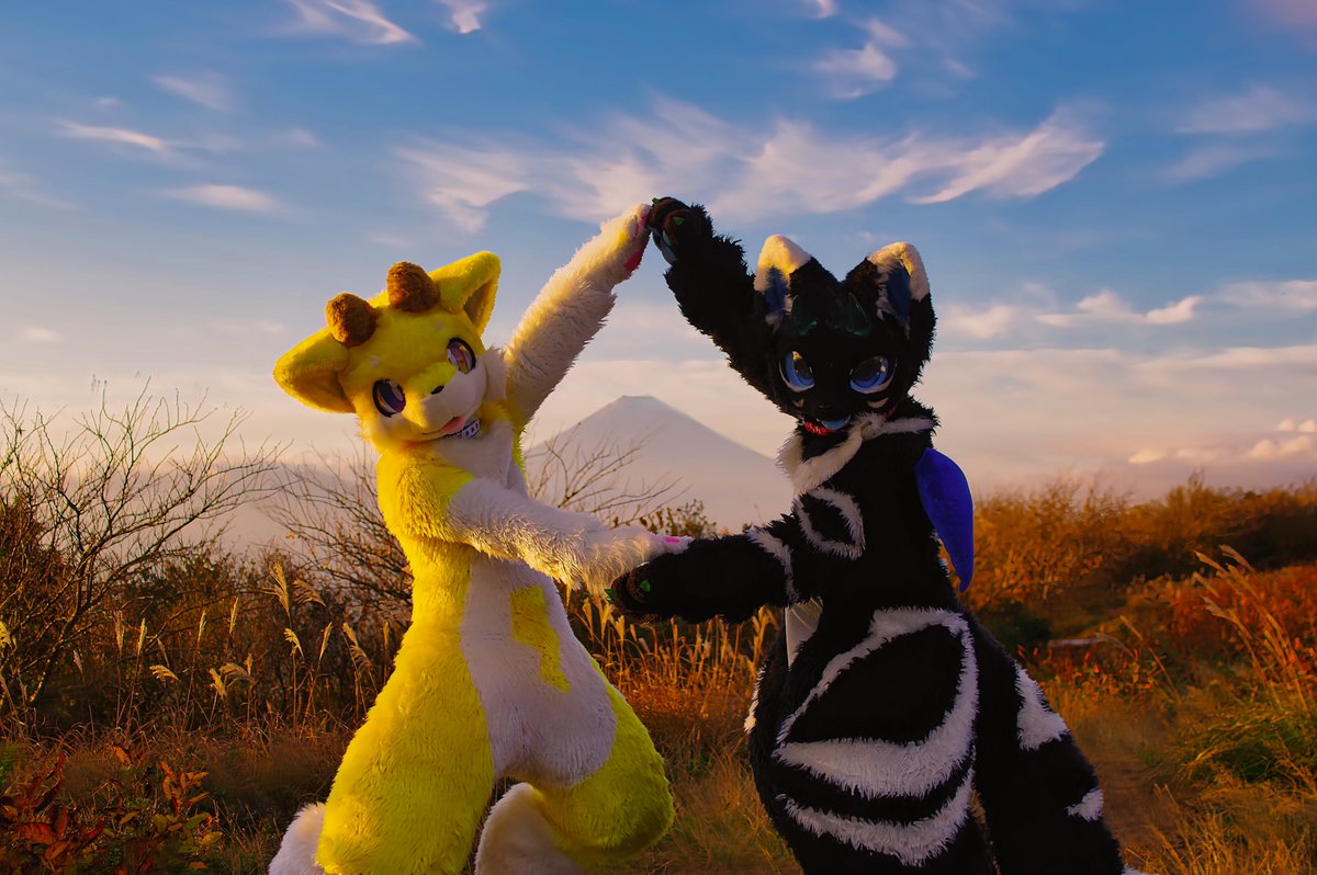 かめかめ (@kamekame_kemo) / Posts / X