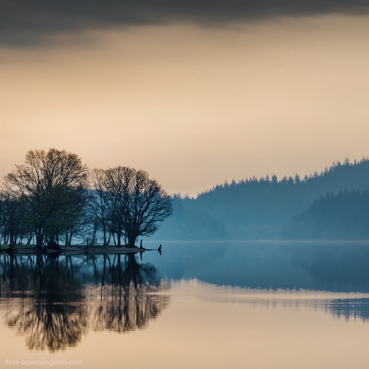 Dabowphoto's tweet image. 'LOCH ARD REFLECTION'
.
Loch Ard glows in fading light, still waters perfectly reflecting silhouetted trees along the shore 🏴󠁧󠁢󠁳󠁣󠁴󠁿
.
davebowmanphotography.com/featured/loch-…
.
#photography #photographersofx #LochArd #ScottishHighlands #TranquilViews #wallartforsale