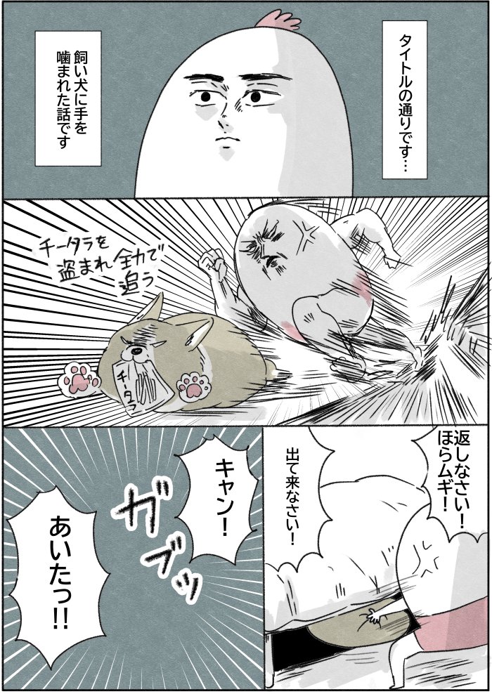 飼い犬に手を噛まれた時の漫画(1/3) 