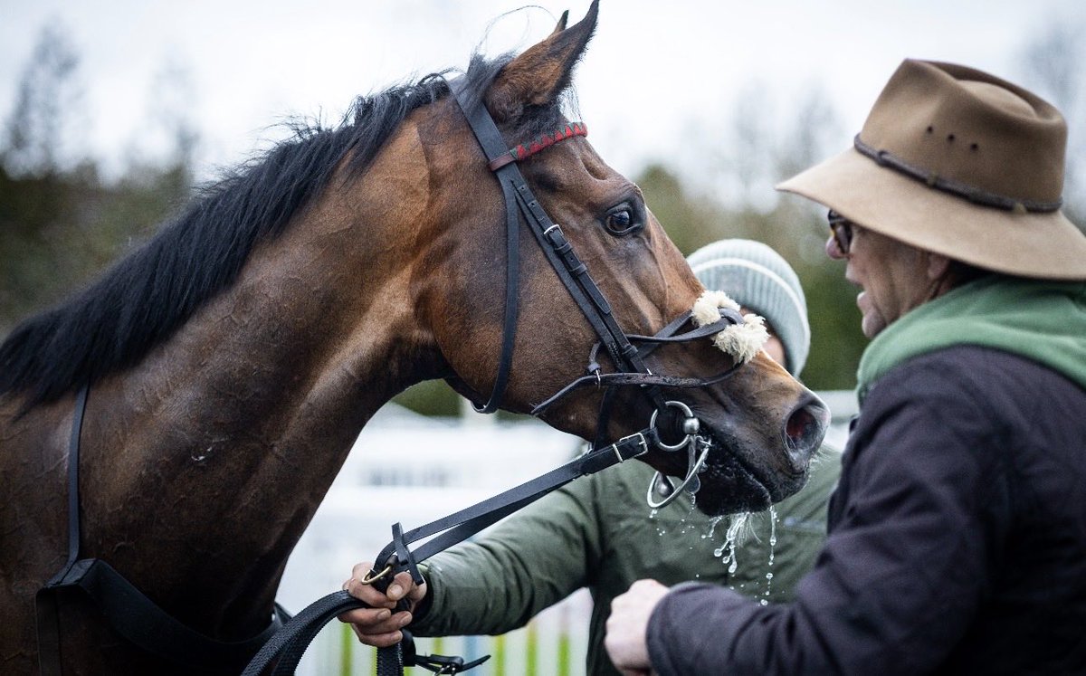Lingfield Park tweet media