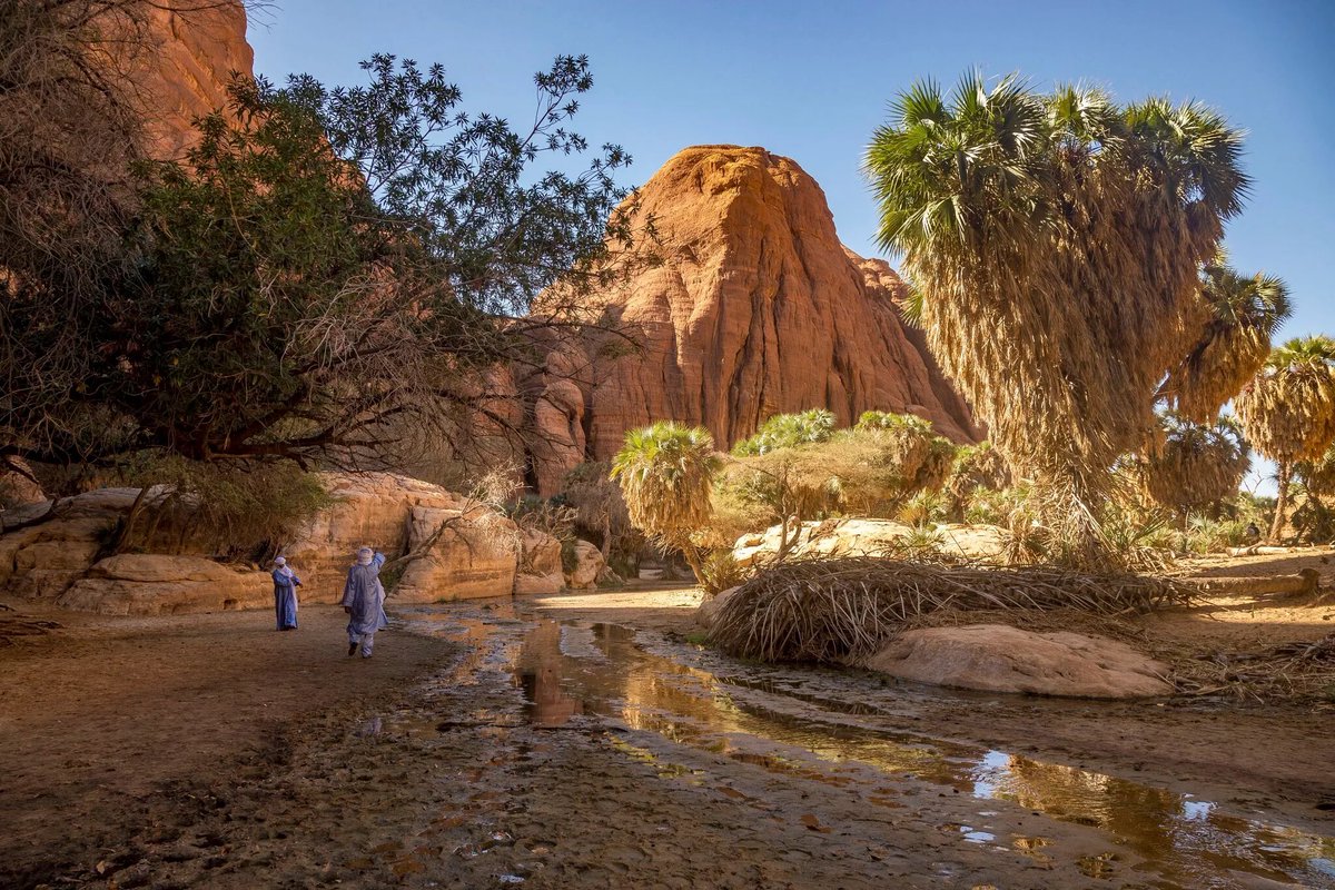 L_ThinkTank's tweet photo. [ 🇹🇩 TCHAD | 🇫🇷 FRANCE ]

🔸 Un dijonnais de 70 ans est porté disparu depuis mercredi soir dans le nord‑est du Tchad, où il se rendait dans la zone du Guelta de Bachikele pour assister au « Festival international des cultures sahariennes ». Il s’agit d’une zone classée rouge par le Quai d’Orsay. L’homme serait parti randonner sans guide ni eau sous près de 40 °C. Son compagnon, un autre touriste français, a été retrouvé. Des militaires mènent des recherches alors que les autorités françaises suivent de près la situation.