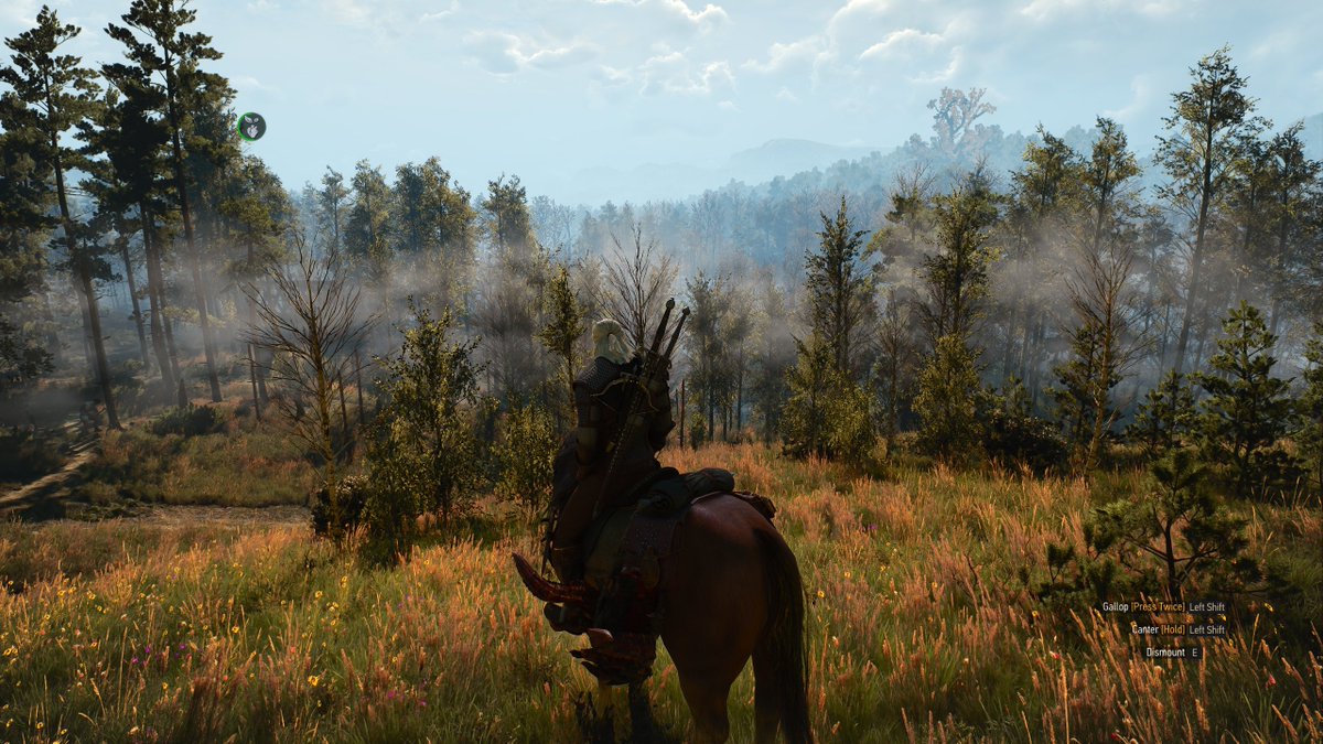 Sometimes I just stop and take it in.