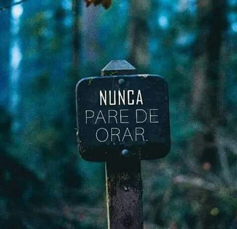 A Profecia! (@livrodaprofecia) on Twitter photo 