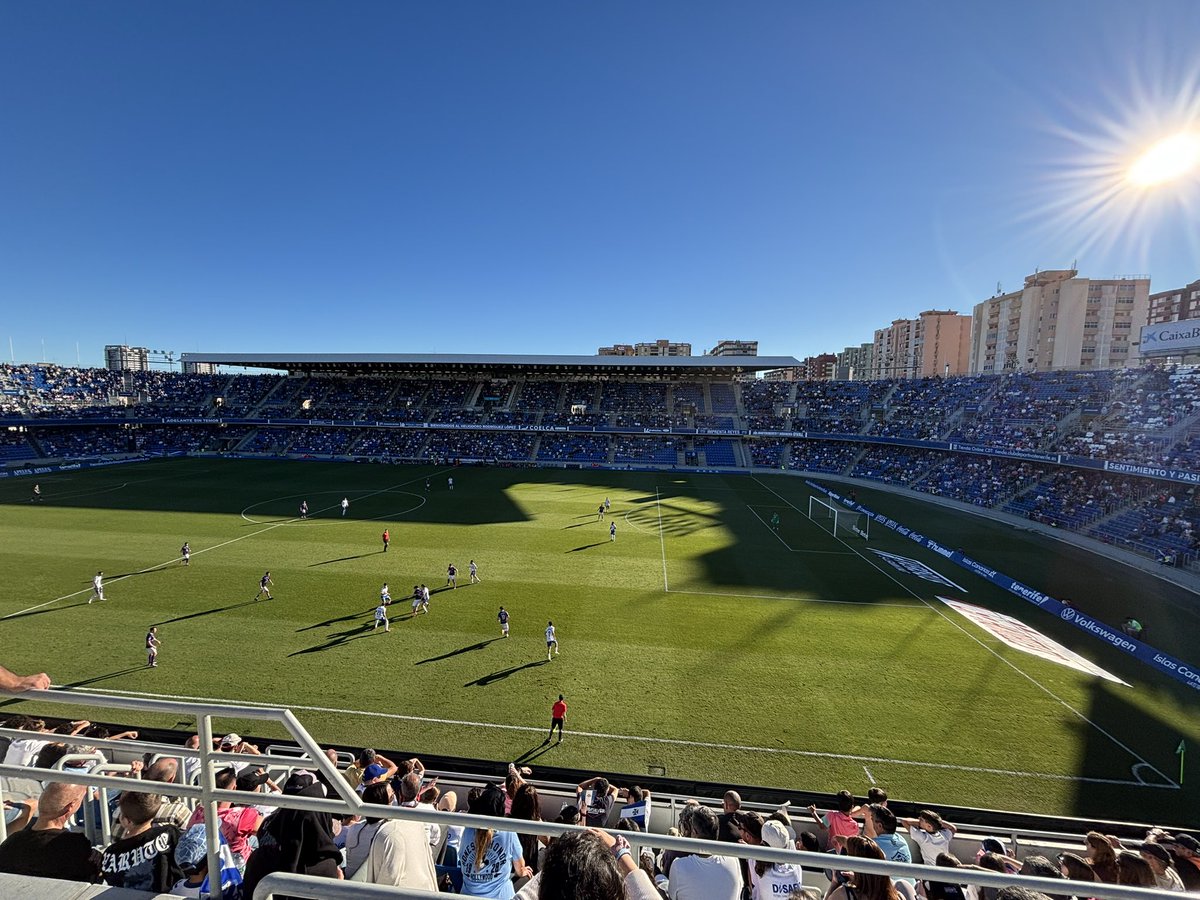 El Groot Morado ☝🏻🦍 🟣⚪️ tweet media