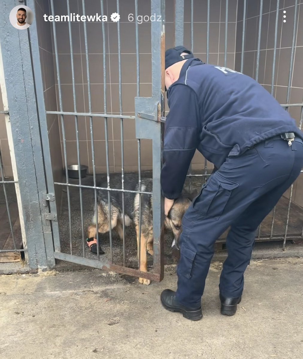 Ewaa_0903's tweet photo. Kurwa ‼️ @PolskaPolicja  znowu ?! Serio ?? Co z Wami ??
Mi już ręce opadają.
Jak mamy wierzyć, że policja pomoże kiedy będzie trzeba jak ciągle jakieś gówno wybija...
Skoro nawet psy, które całe życie pracowały dla Was macie w dupie to co dopiero inne...
#wstyd https://t.co/IeOeTGPyD6