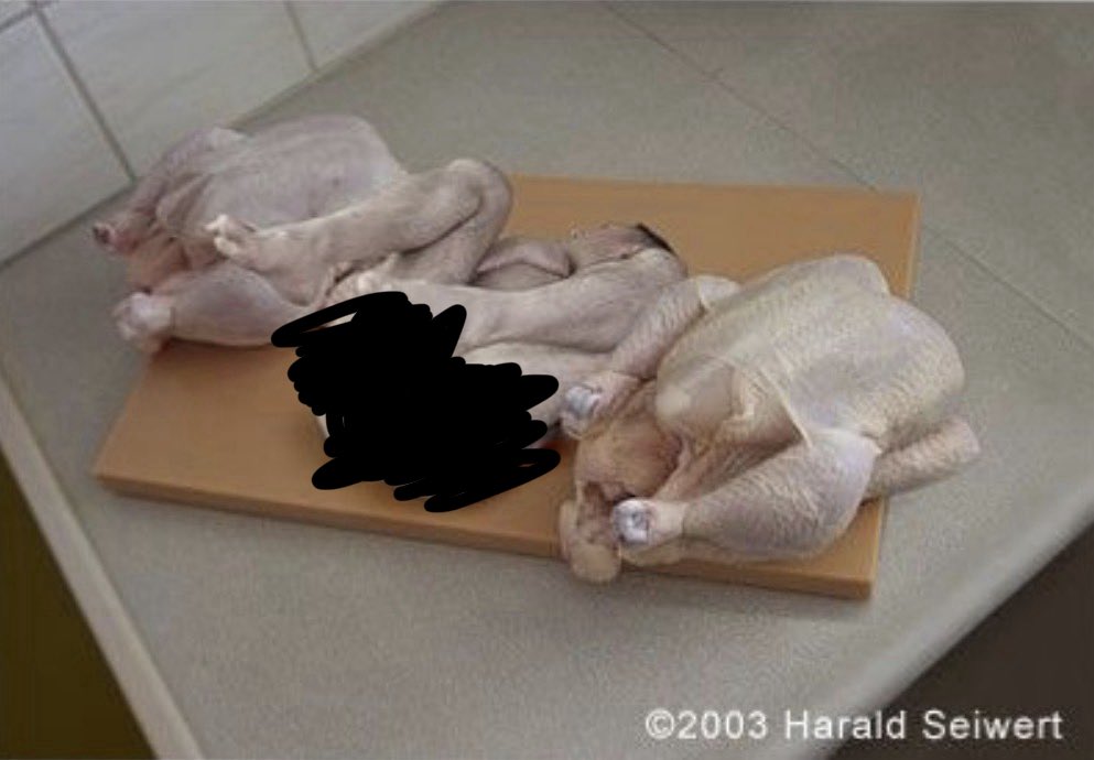 This image being shared from the Epstein files, showing two chickens and what appears to be human legs in the middle.

BUT… people are deceptively editing out the trademark. See the second image. 

This is a photo from an “artist” named Herald Seiwert. It’s a photoshopped man