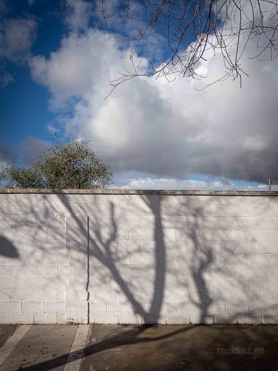 Raúl Díaz tweet media