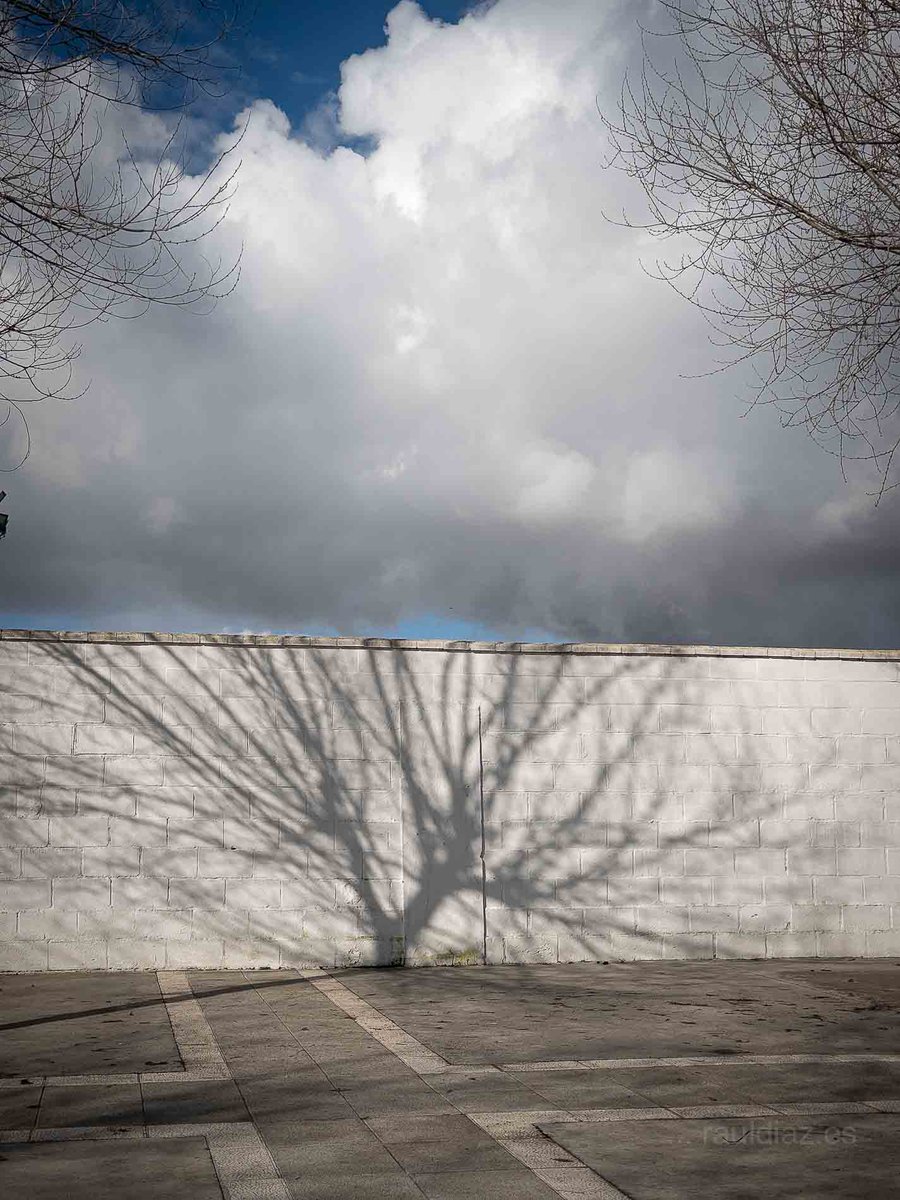 Raúl Díaz tweet media