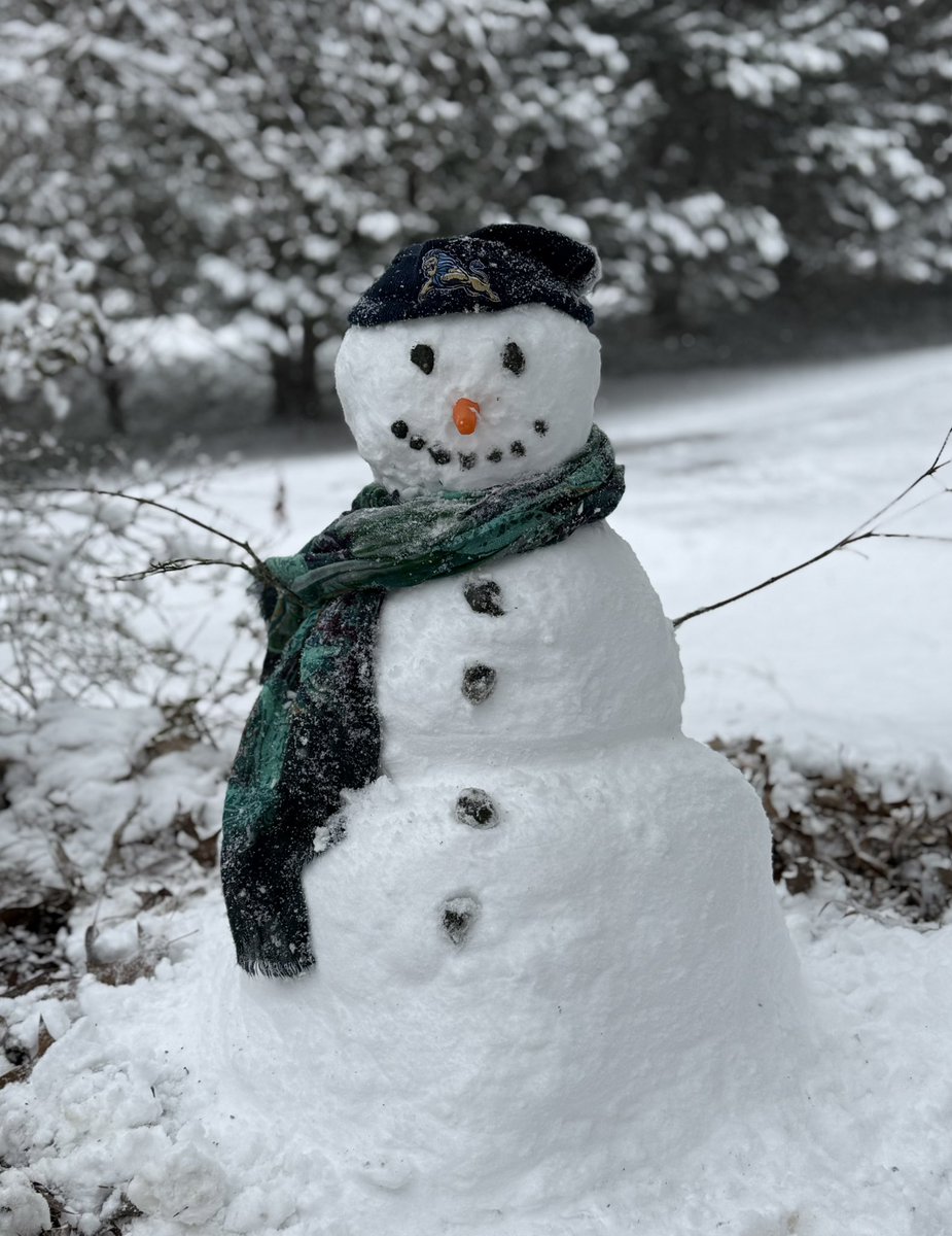 D.W. Daniel Football tweet media