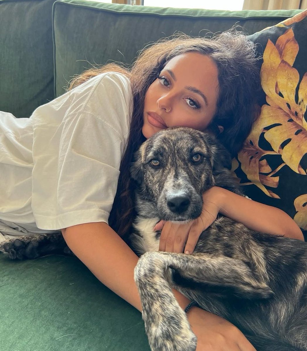 acervo little mix tweet media