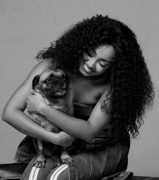 acervo little mix tweet media