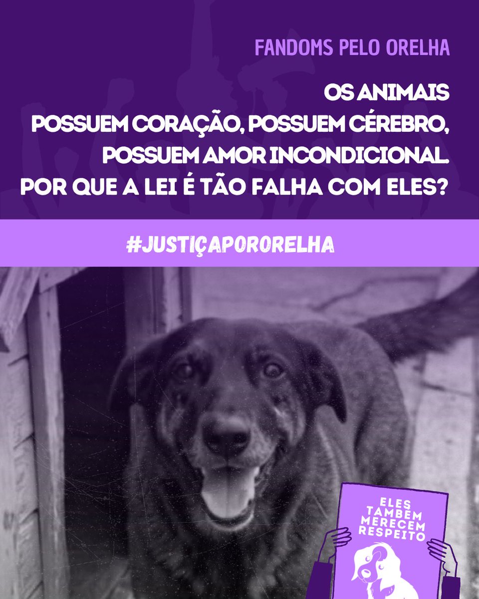 acervo little mix tweet media