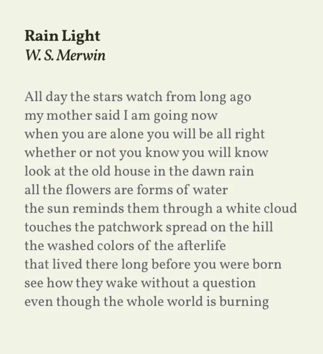 MirandaHqv's tweet image. 