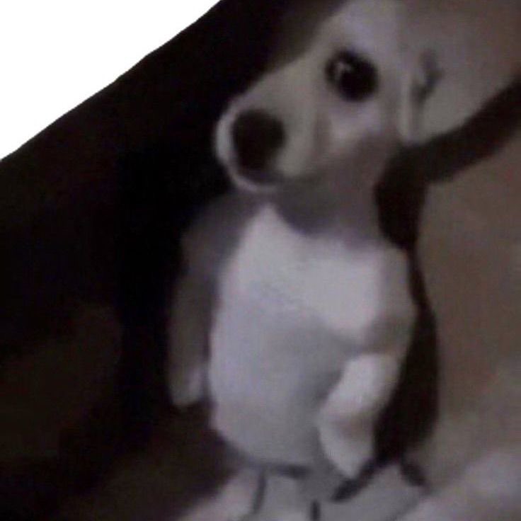 imagina enamorarte de alguien que puede estar todo el día sin mandarte un mensaje