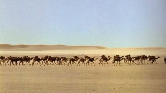 العيـن صدت عمد والخـاطر معيـف
  عن الظنون اللي سعت في عذابي

لو العتـب يرضي شفوف الملاهيـف
    ازعجت نجد بكبرها في عتابي