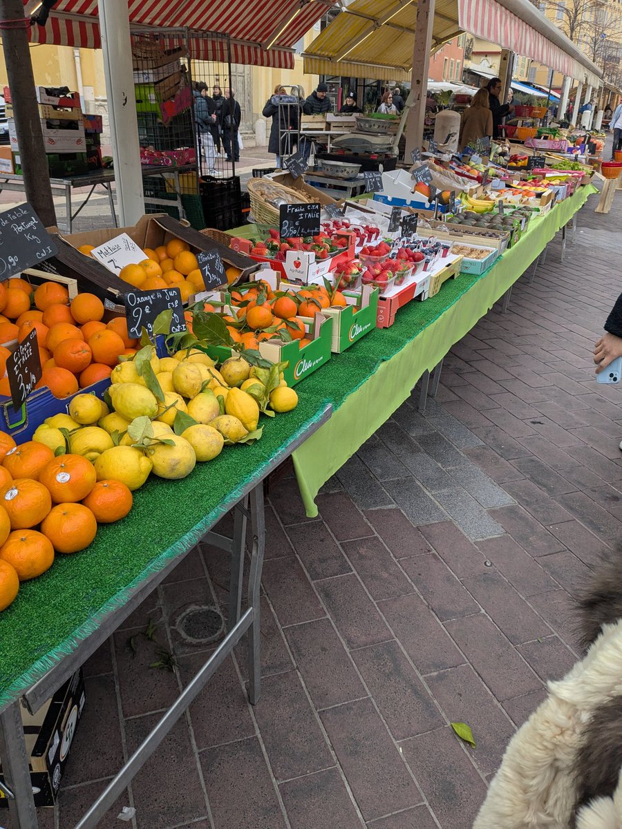 dihitarian's tweet photo. ニースがすごく肌感にあっていた
旧市街の昔ながらの家々
友人や家族と楽しんで食事をしているレストランの賑やかさ
高級感がありすぎることはなく、とても落ち着く街の雰囲気
湘南に似た海沿いの雰囲気

湘���生まれだから似たようなものを感じ取っていたのかも https://t.co/uhGBfSjp1x
