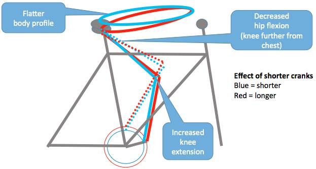 ROTHE Training tweet media