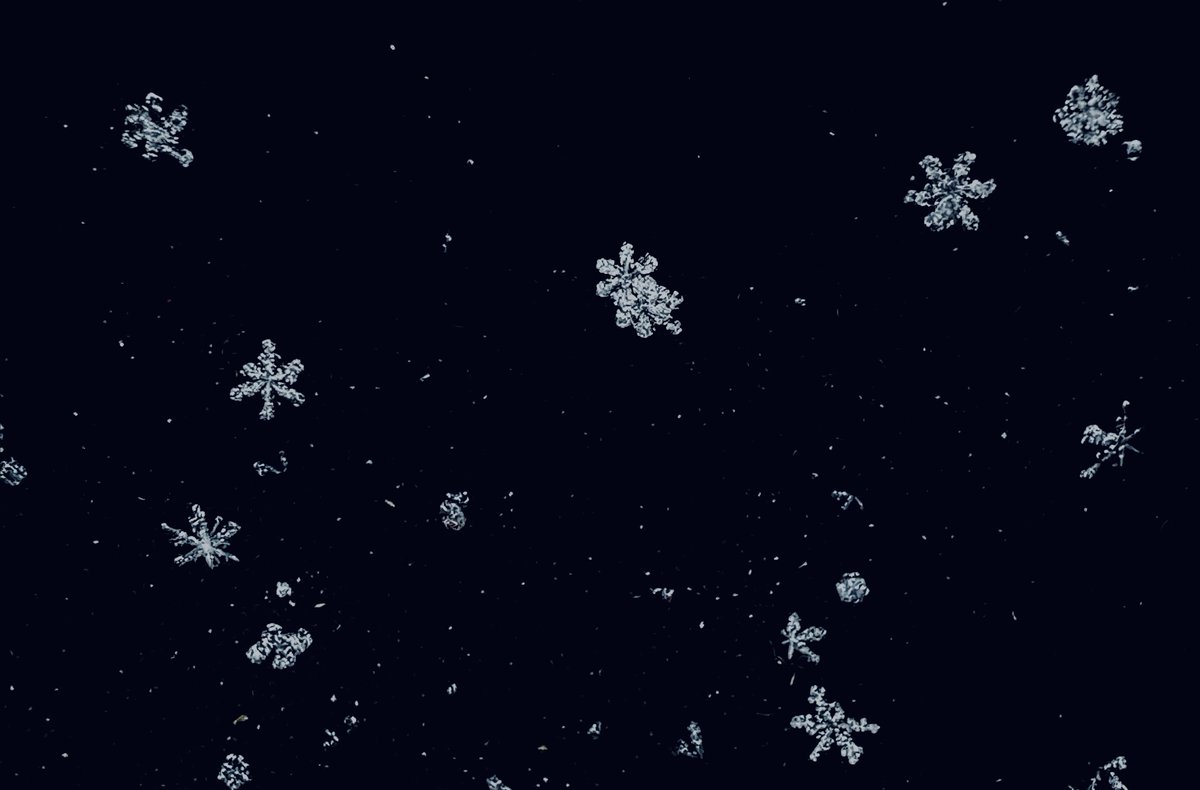 msmith154's tweet photo. God’s creations are so amazing ❄️♥️!

#snowday2026 https://t.co/s9NT7W0rfY