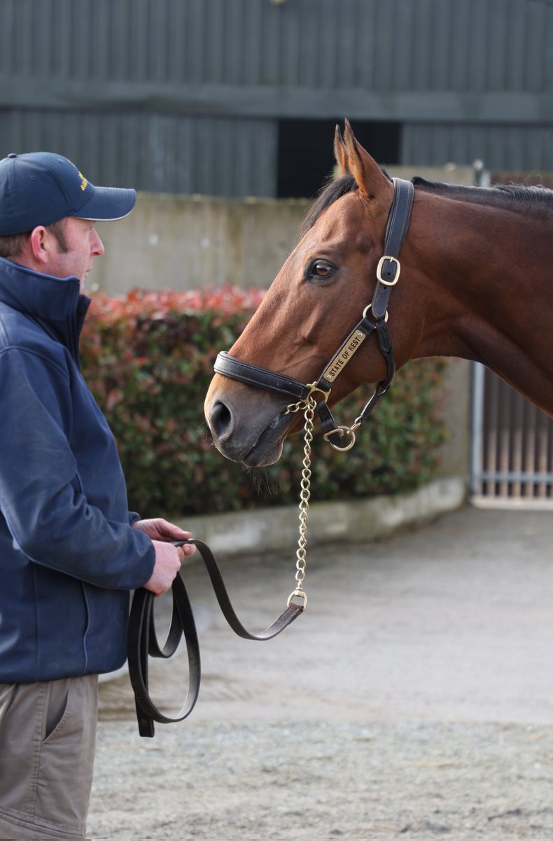 State of Rest (Starspangledbanner).
What a racehorse this fella was! A proper globetrotter. A privilege to see him <a href="/RathbarryStud/">Rathbarry & Glenview</a> on the #IrishStallionTrail