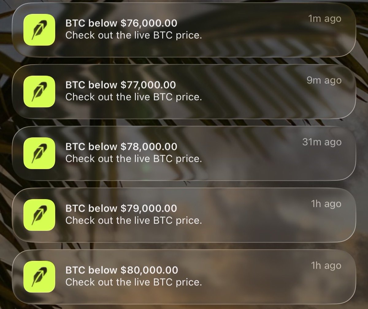 Chat, I don’t think they rotated the gold/silver profits into bitcoin