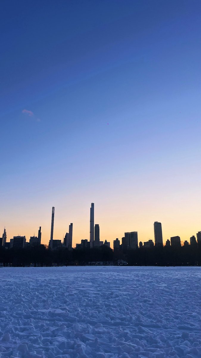 halsteady tweet media