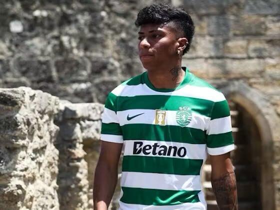 Nunomel 🦁🇺🇸 tweet media