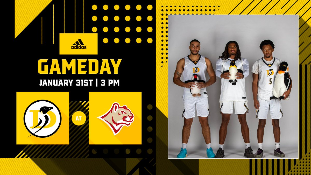 Dominican Athletics tweet media