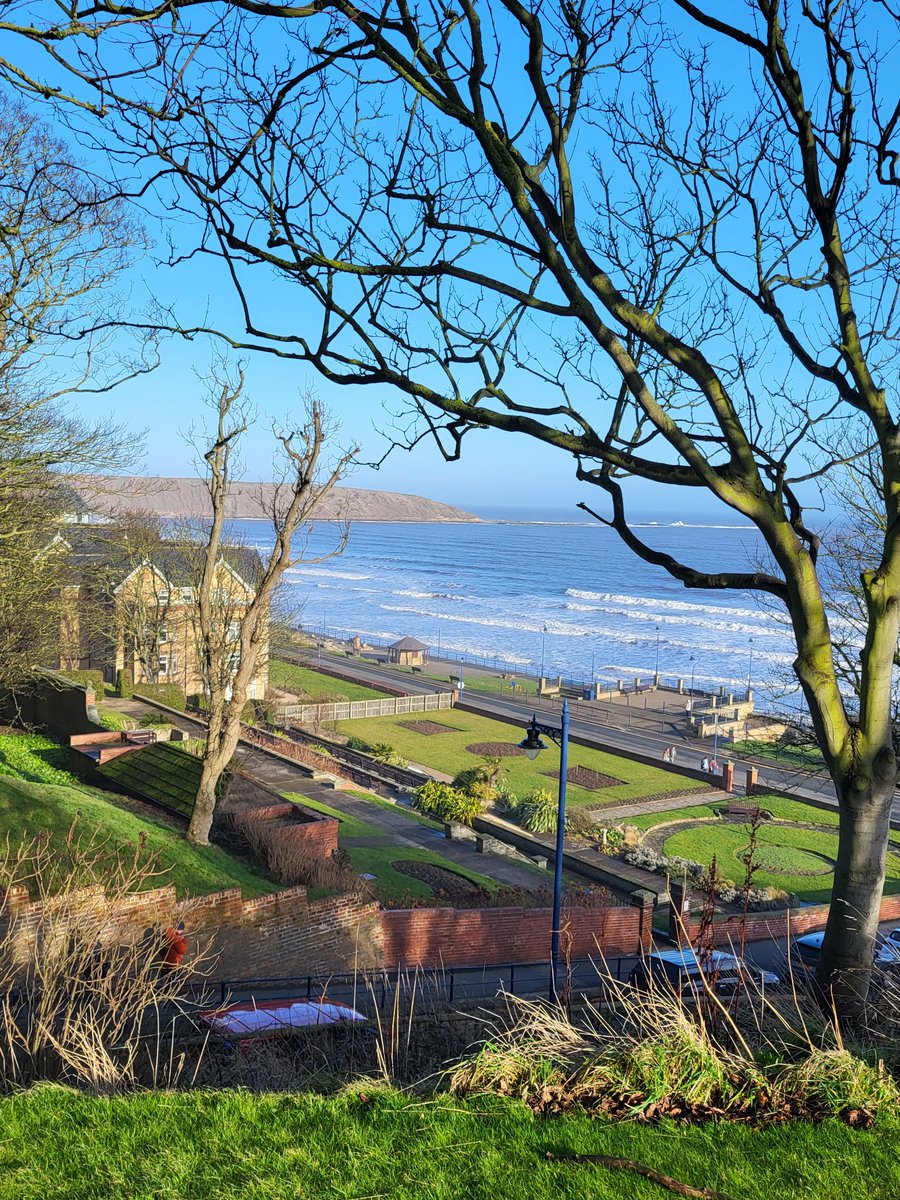 None of the above. tweet media