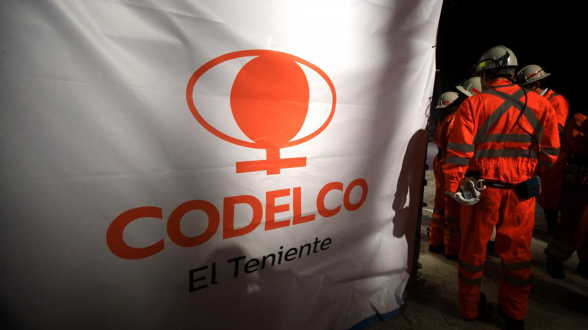 Cooperativa tweet media