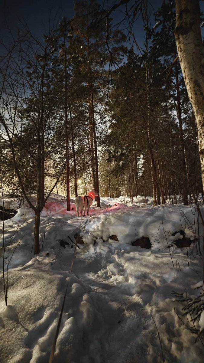 SnookerBlog 🇫🇮🎱 tweet media