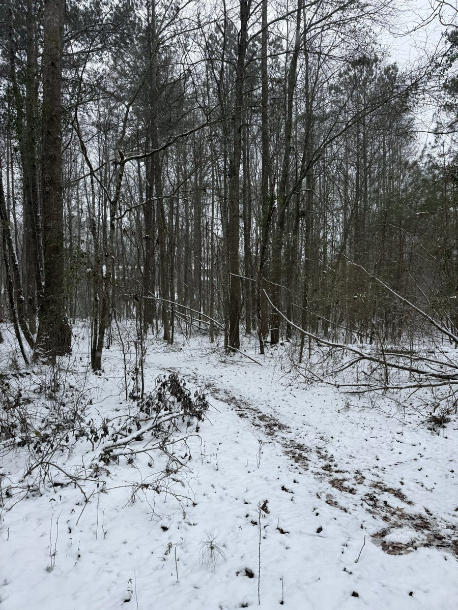 Down to very light snow here in Bogart now. Some even starting to melt due to warmer ground temps. Unless we get a band later we will probably finish off with around 2”